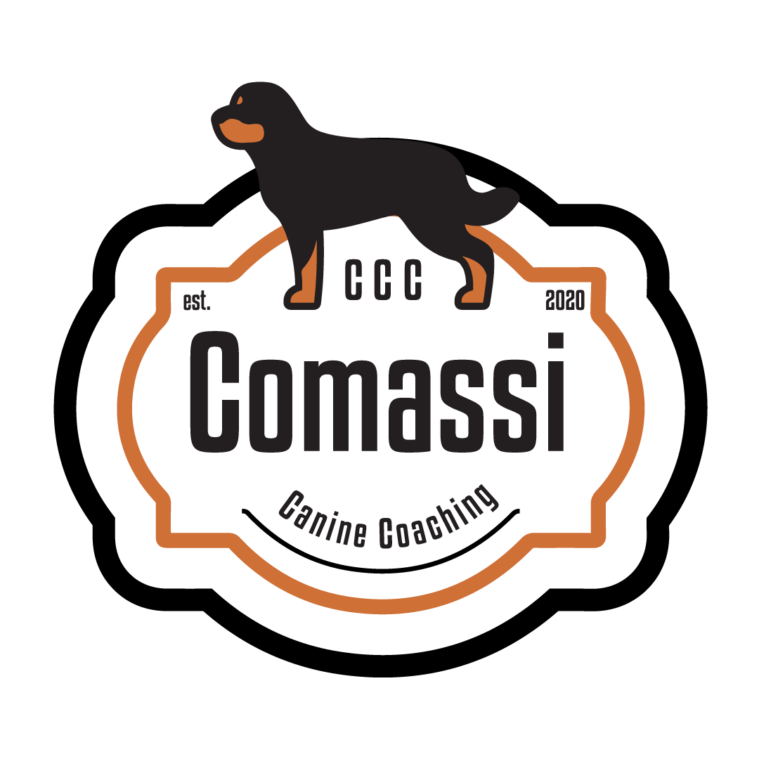 Hondenschool | Comassi Canine Coaching